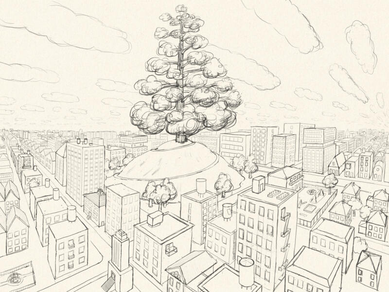 Line drawing of big tree in the city