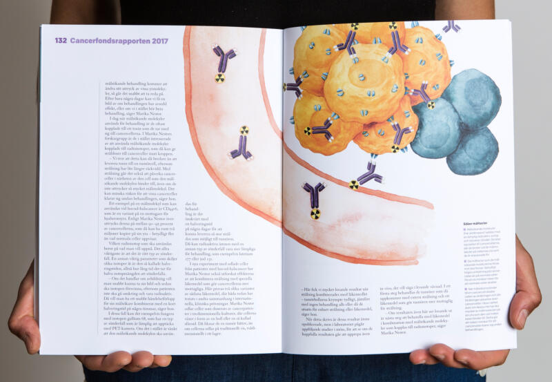 Uppslag ur Cancerondsrapporten 2017 som med en schematisk illustration visar hur man med hjälp av målsökande molekyler sammankopplade med radioisotoper kan ge stråldoser till celler inuti kroppen.