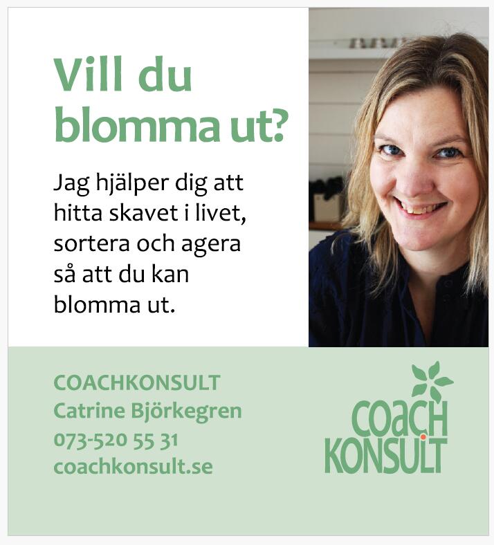 Bild visar design av annons för dagspress åt Coachkonsult, text om verksamheten och foto på coachen. Design Maria Helgars, designmaria.se