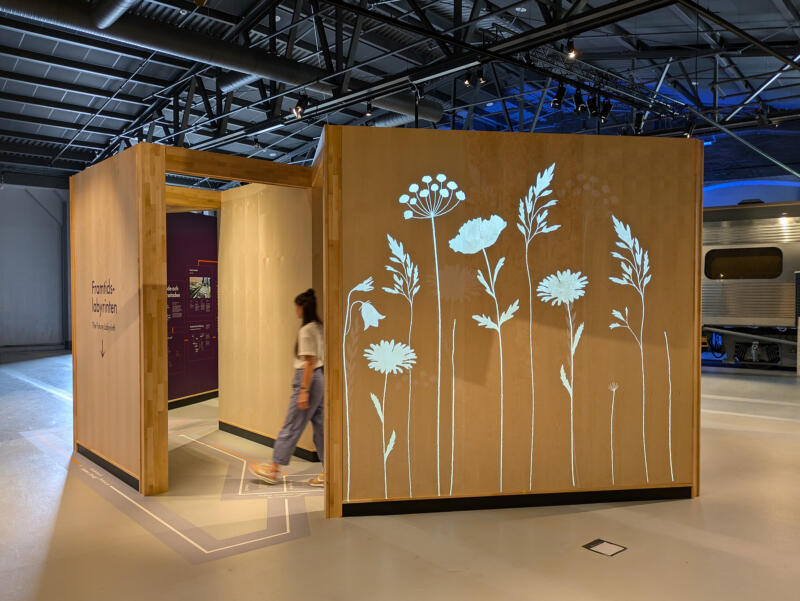 Framväxande ängsblommor och gräs projicerad på björkplywood i en utav museets utställningshallar.