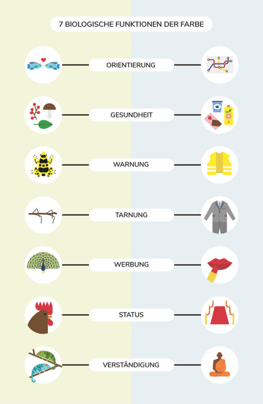 Infografiker om färgernas sju biologiska funktioner: Orientering, hälsa, varning, camouflage, reklam, status och kommunikation