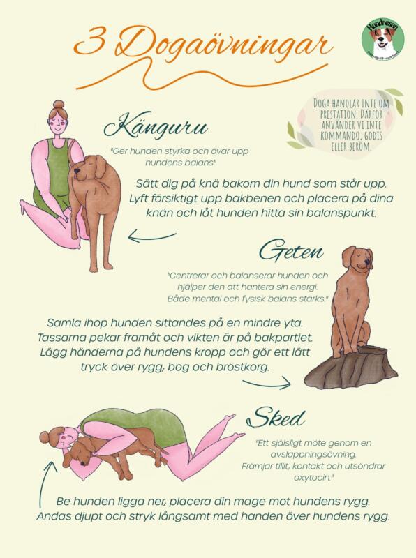 Färgglada och enkla Illustrationer med en människa och en hund som gör yoga tillsammans. 