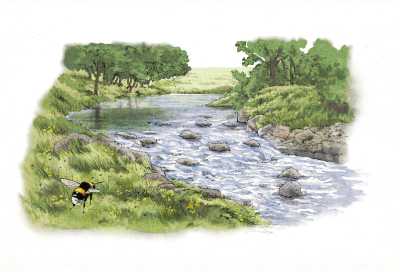 Restoration of watercourses