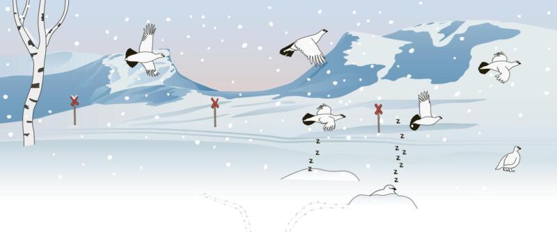 Illustration av fjällen i snölandskap där man ser ripor flyga
