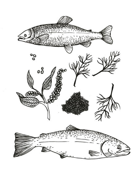 Linjeillustrationer av fisk, lax, sill, peppar, rom, dillkvist