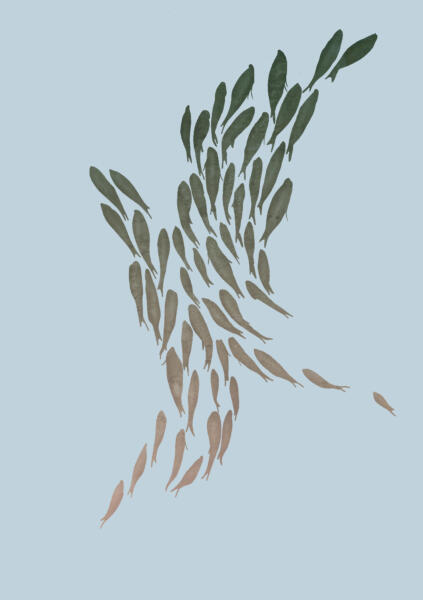 Illustration av ett fiskstim på en ljusblå bakgrund