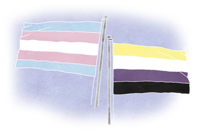 Illustration av två hbtq flaggor