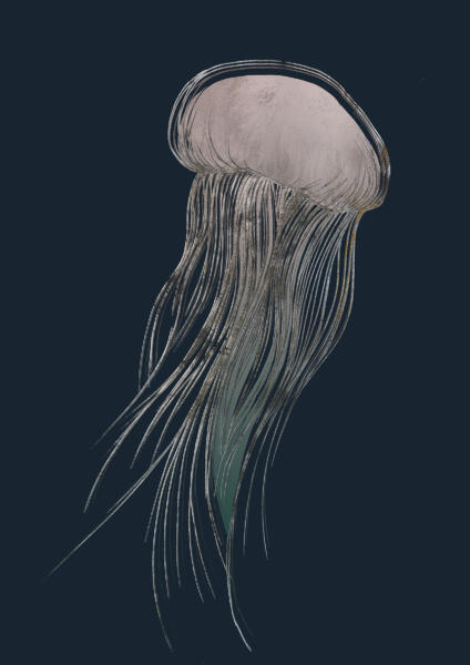 Illustration av en manet på mörkblå bakgrund