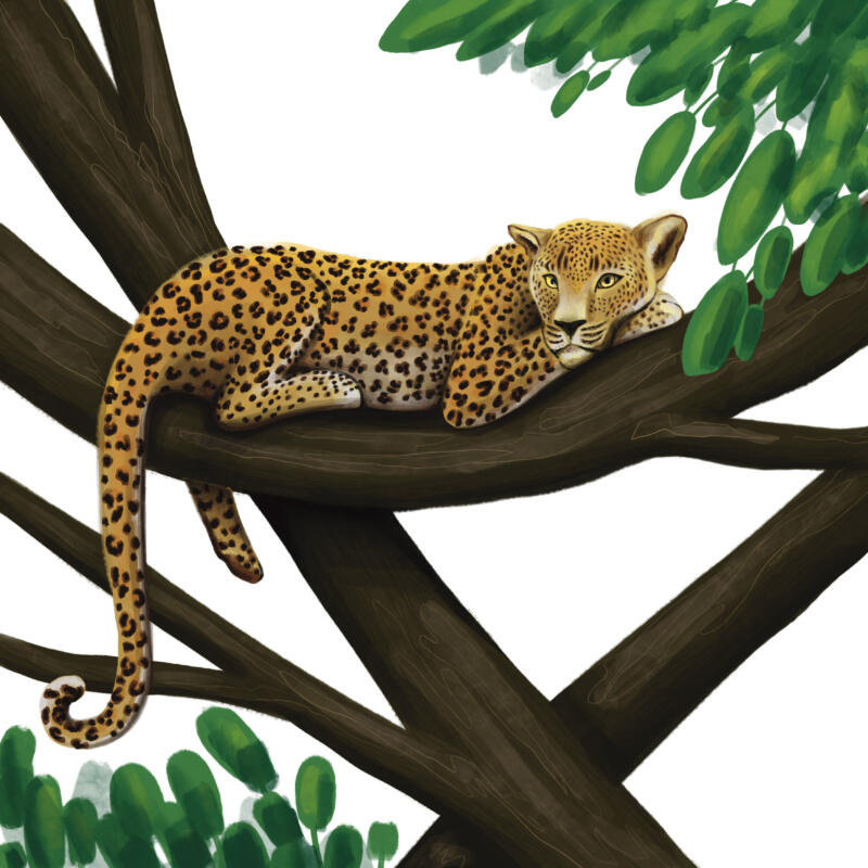 Digital illustration av en leopard som ligger och vilar på en trädgren