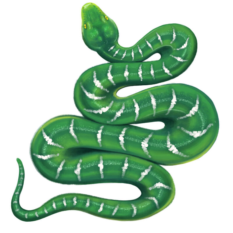 Färgglad smaragdboa som slingrar sig