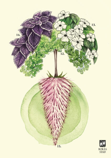 Borås blomsterprogram