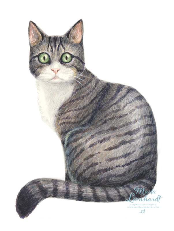 Illustrationer i akvarell till utställning om Allmogeliv, Kulturen i Lund. Historia, läromedel, faktabok, barnbok, barnböcker, bönder, Sverige. Historiska illustrationer av människor i svenskt lantliv, målade för hand. Katt.