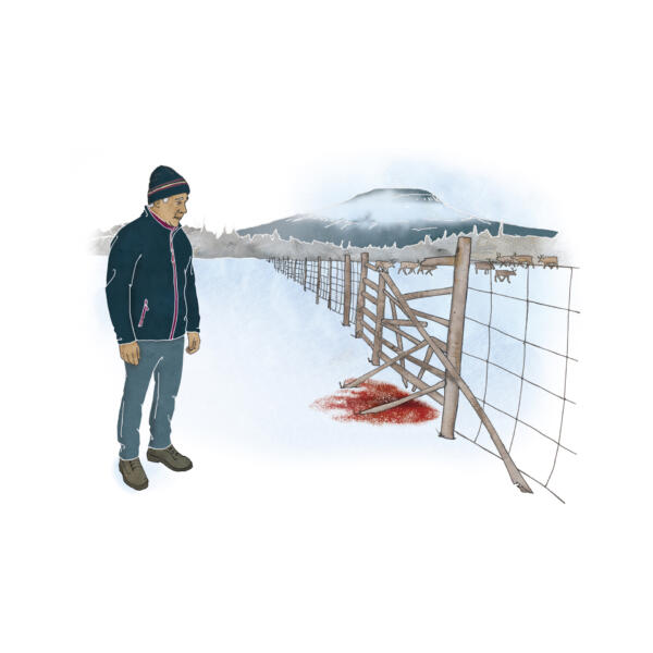 Same utsatt för hatbrott i ett fjällandskap med renar. 