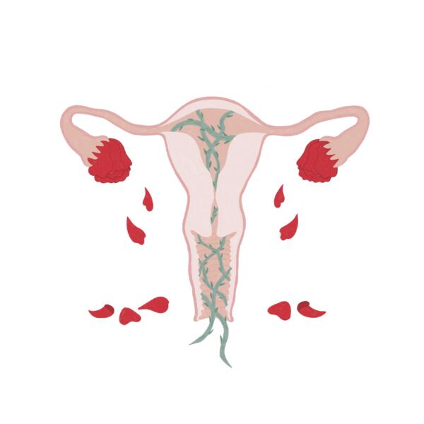 redaktionell illustration föreställande en livmoder och rosor. 
