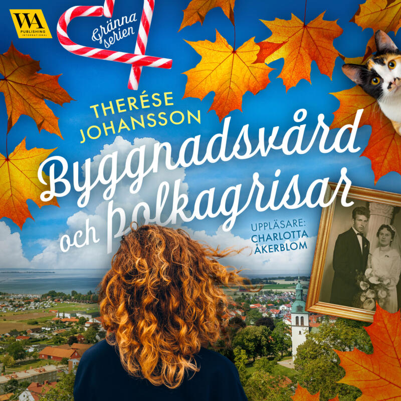 Omslagsbild till ljudboken Byggnadsvård och polkagrisar av Therése Johansson . En kvinna i förgrunden tittar ut över Gränna.