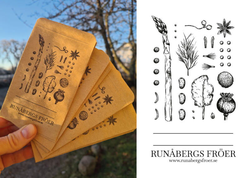 En fröpåse med illustrerade fröer tryckta med hjälp av en kliché i en manuell tryckpress från 1950-talet.