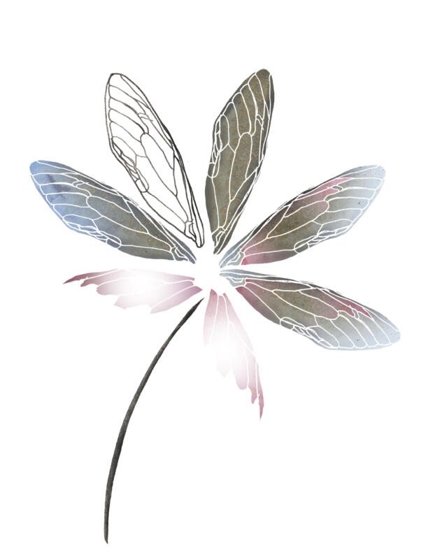 Illustration,  blomma av trollsländans vingar i pastellfärger.