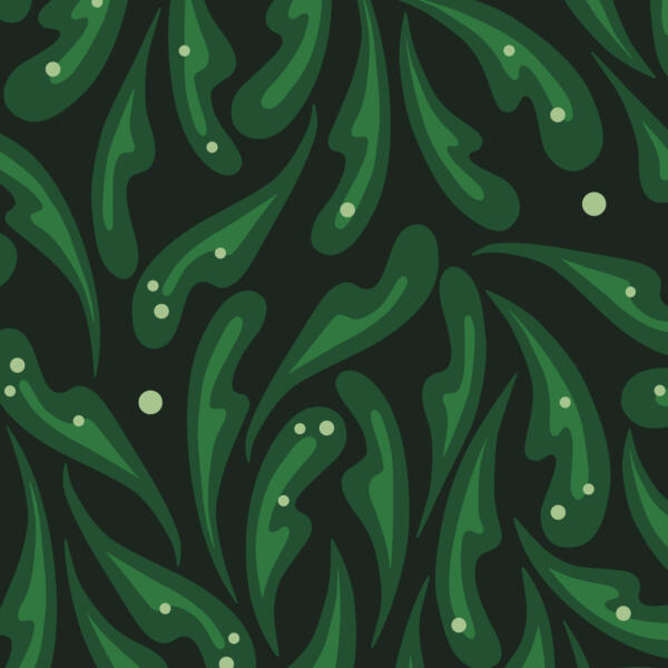 Mörkgrön nästan svart bakgrund med gröna blad som sprider sig oregelbundet. Mörkgröna former med ljusare grönt inuti som föreställer ruccola. Små och stora cirklar i en ljus färg lite var stans som ett strössel av parmesan.