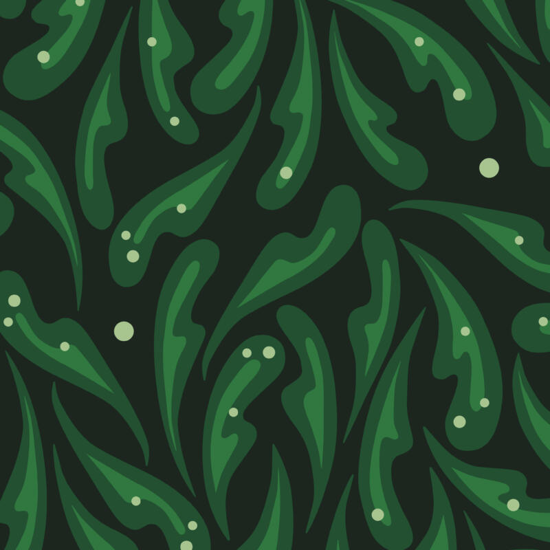 Mörkgrön nästan svart bakgrund med gröna blad som sprider sig oregelbundet. Mörkgröna former med ljusare grönt inuti som föreställer ruccola. Små och stora cirklar i en ljus färg lite var stans som ett strössel av parmesan.