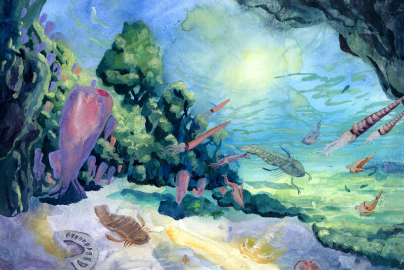 Jordens tidiga hav med liv, akvarell och akryl, vetenskaplig illustration för utbildning och museum.