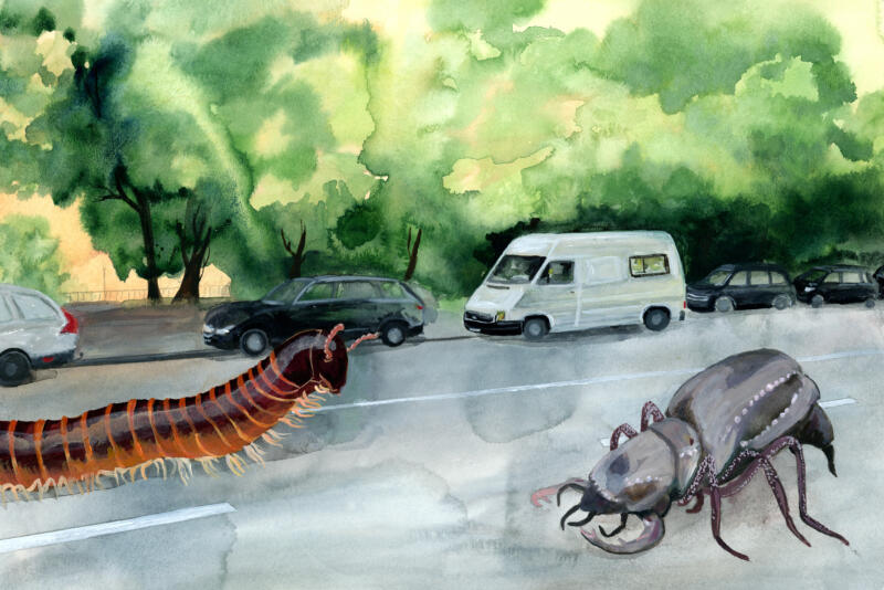 Devoniska gigantiska insekter på modern gata, akvarell och akryl, illustration av jordens tidiga evolution.