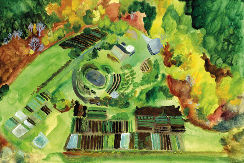 Handgjord akvarell med motiv av grönsaksodling uppifrån. Illustration om hållbarhet, grön omställning, klimat, regenerativt jordbruk, ekologisk odling, natur, framtidstro och relationen mellan människa och jord. Passar för projekt, böcker och bildmaterial om miljö, matproduktion och hållbart liv.