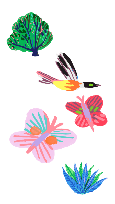 Färgglada digitala illustrationer av fjärilar, växter och fåglar