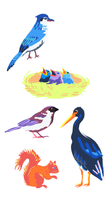 Färgglada digitala illustrationer av fåglar och en ekorre