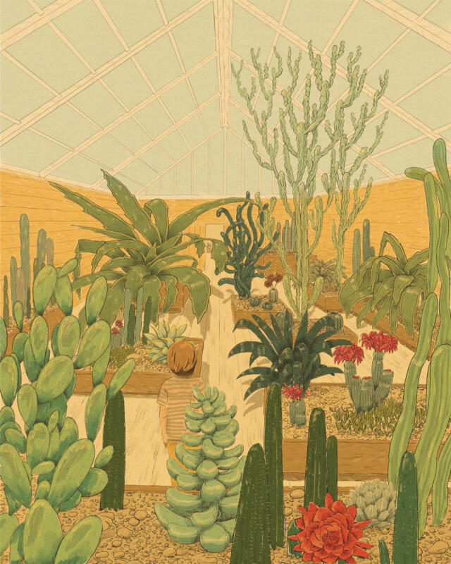 Detailed illustration of the interior of a cactus green house.