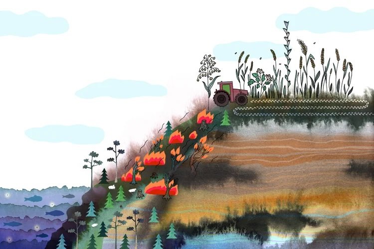 Hav och land, åkermark, skogsnäring, vårmarker, eld, jord