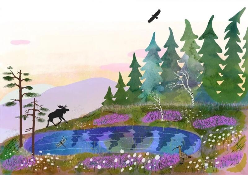 Årsrapport EviEm Illustration av Gunilla Hagström Motivet är från norrland med en tjärn i en skog, älg och skogstuvor samt tallar och solnedgång med örn