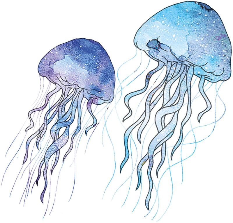 Illustration till temporära tatueringar för barn.