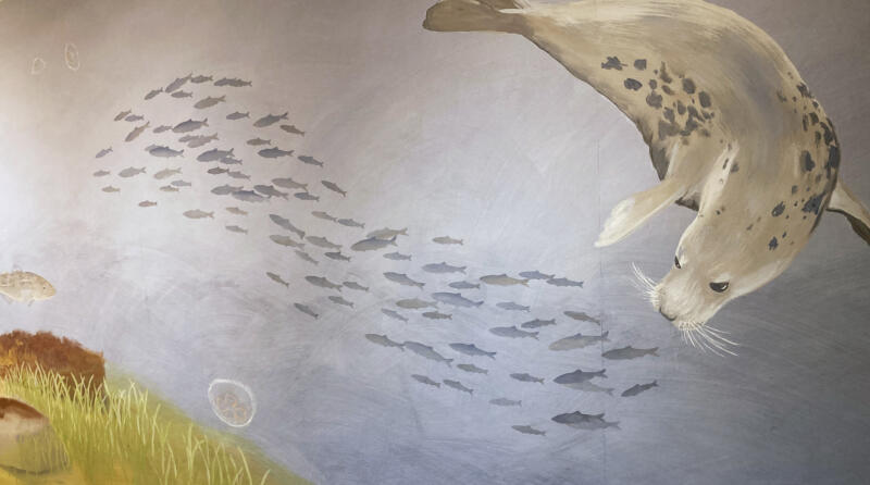 Våggmåleri i lekutställningen "Gammeldagstiden" på Östelens museum i Simrishamn. Här syns några Här ser vi en gråsäl som jagar sill. Måleriet är skapat i äggoljetempera.