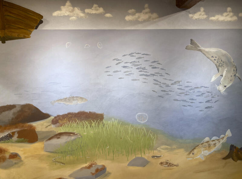 Våggmåleri i lekutställningen "Gammeldagstiden" på Östelens museum i Simrishamn. Här syns några av de djur som var vanliga i Östersjön förr i tiden: sill, ål, torsk och gråsäl. På botten växer en frodig ålgräsäng. Måleriet är skapat i äggoljetempera.