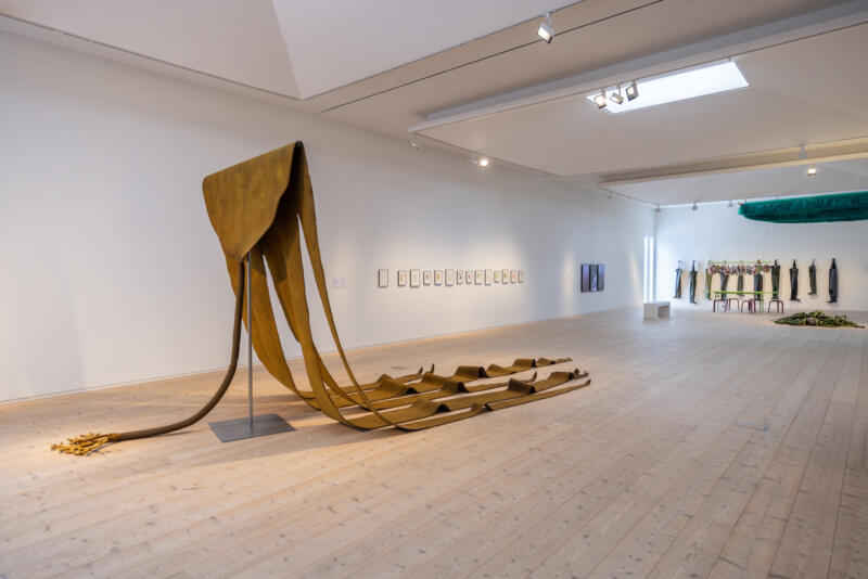 Bilden visar en del av utställningen Seaweed stories i Varbergs konsthall. Verken består av installationer, videoverk, performance och bildkonst och är skapade av Ingela Ihrman, Maj Persson, Anna Ling och Elin & Keino.