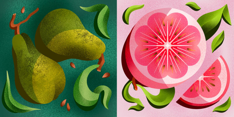 Vektor illustration av päron och grapefrukt 