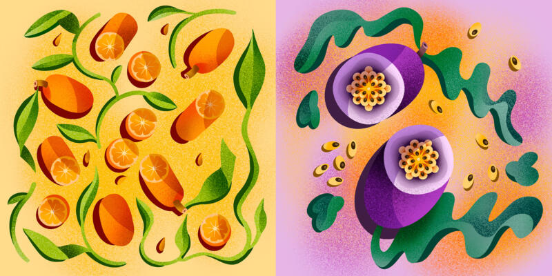 Vektor illustration av passionsfrukt och citrusfrukt