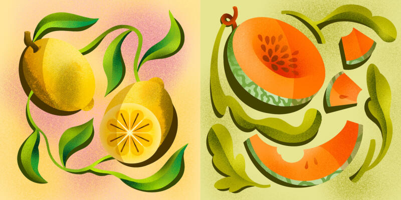 Vektor illustration av citron och melon