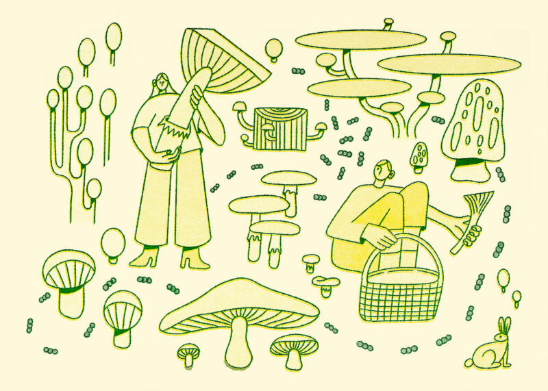 Två personer som plockar svamp i skogen