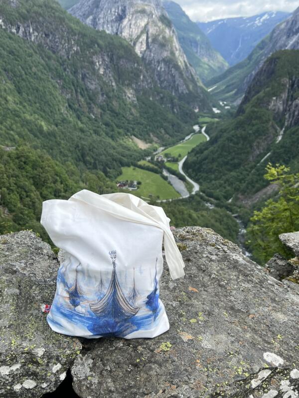 Textile bag with viking ships printed on it. Photographed in the wild mountains of Norway.