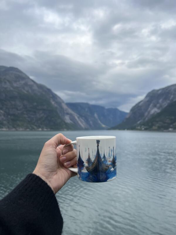Mug with viking ships, photographed in the norwegian wilderness