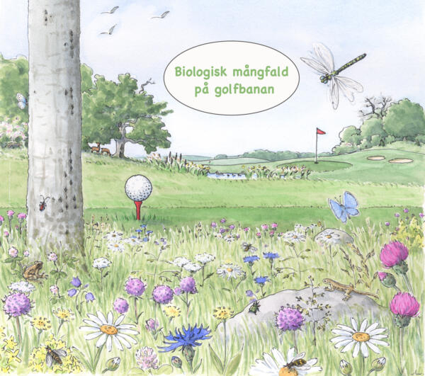 Akvarellillustration som visar artrik blomsteräng med tillhörande insektsrik i förgrunden av en golfbana. I bakgrunden skogsdungar och öppet vatten.