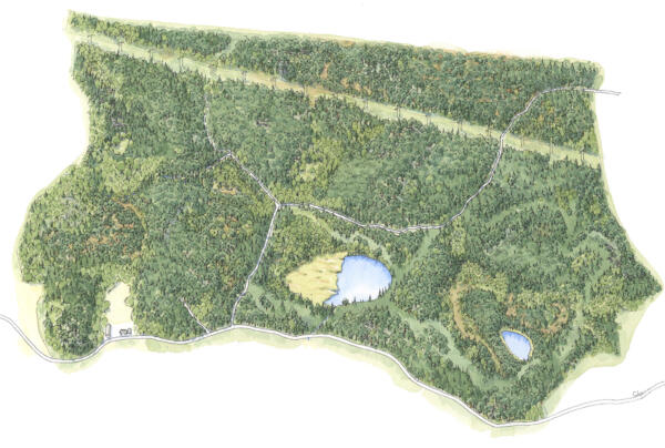 Handmålad iIllustrationskarta i akvarell över naturreservatet Tolamossen och Skiren-Kvicken. 
