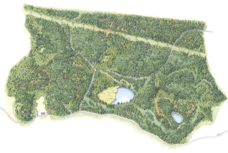 Handmålad iIllustrationskarta i akvarell över naturreservatet Tolamossen och Skiren-Kvicken. 