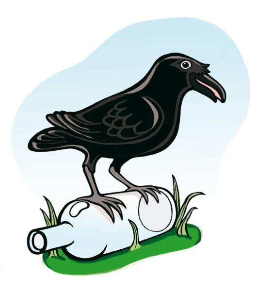 Bird on bottle