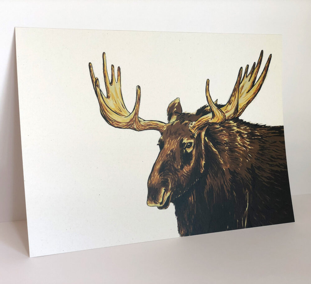 vykort med realistiskt porträtt av älg
