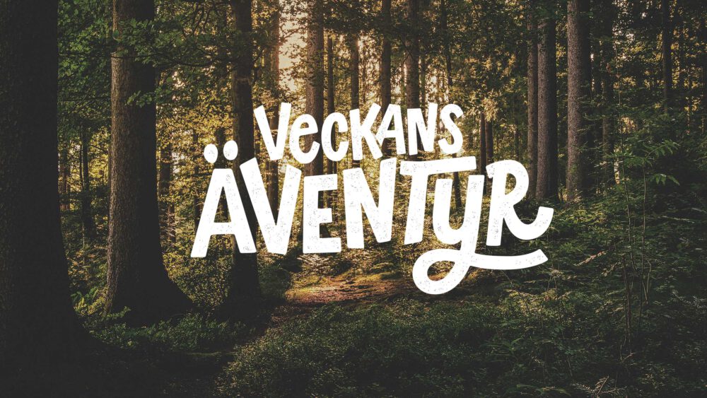 Den färdiga bokstavsillustrationen "Veckans äventyr" åt Friluftsfrämjandet. 