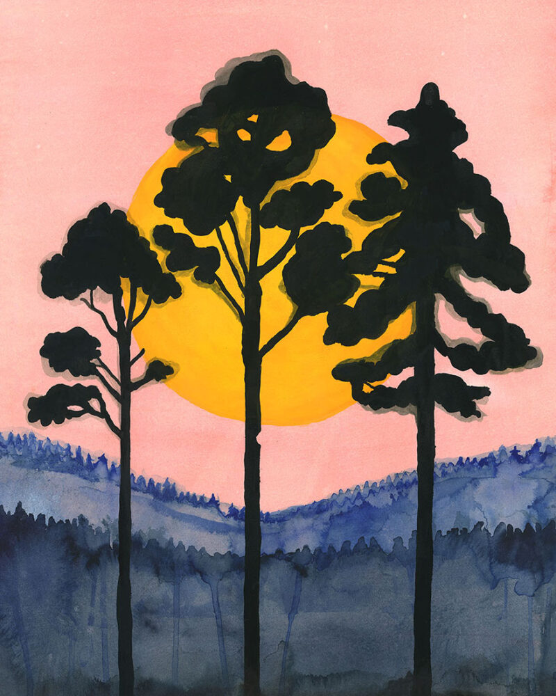Månsken. Illustrerade svenska landskap. Hemester. Badstrand. Resa i Sverige. Badstrand. Sommar. Svensk skog. Skog. Bergslagen. Granskog. Natur. Friluftsliv. Turism. 