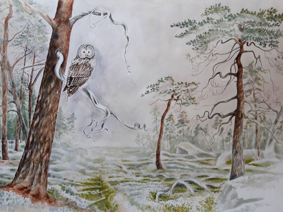 uggla, slaguggla i skog. Tidig morgon i uggleskogen. Urskog.