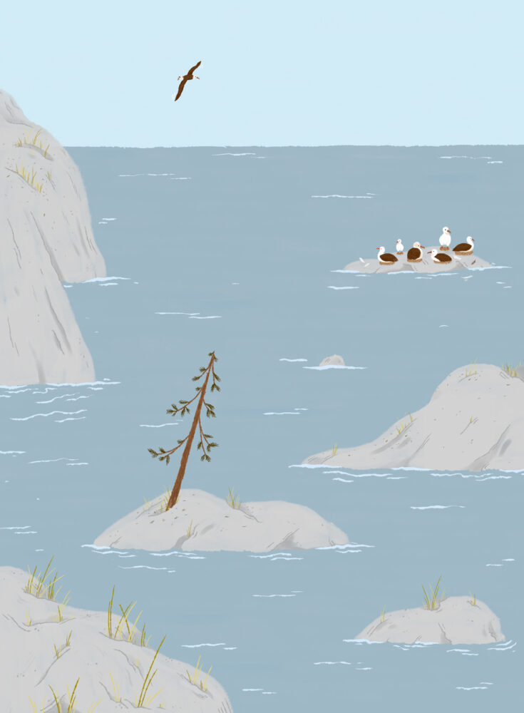 Illustration till bilderbok av klippiga öar och ett hav, och fåglar som seglar över horisonten. 